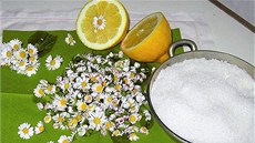 Na sedmikráskový sirup potřebujete jen květy sedmikrásek, 1 citron, cukr a Na sedmikráskový sirup potřebujete jen květy sedmikrásek, 1 citron, cukr a