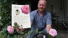 Vyšlechtění růže trvalo deset let. Do České republiky se dostaly postupně asi Vyšlechtění růže trvalo deset let. Do České republiky se dostaly postupně asi