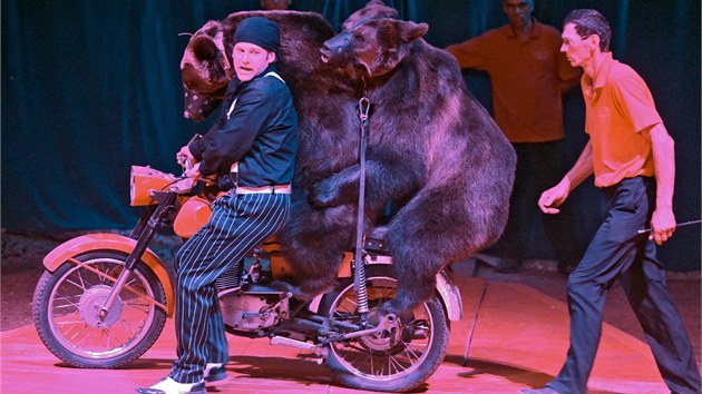 Medvdi na motorce a Ji Berousek mlad (s ernm tkem na hlav) nalkali do cirkusu stovky divk.