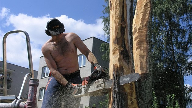 "Vtinou pracuji tak, e mm npad a podle nj potom vybrm materil. Te to bylo opan, ml jsem ped sebou kmen stromu, do kterho jsem musel ztvrnit mylenku," ekl devorubec Komrek.