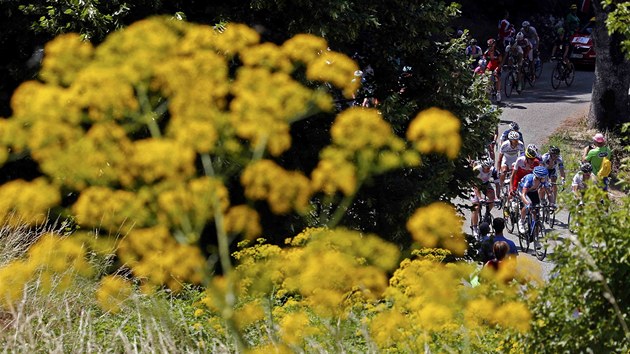 KVTINOV SCENRIE. Cyklist bhem estnct etapy Tour de France.  