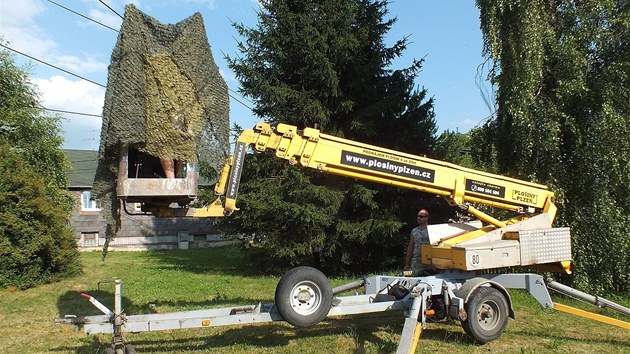 Bohumil Mek vyfotografoval krmen p na hnzd v Dlouhm jezdu na Tachovsku. Kvli uniktnm zbrm se na dlouh hodiny schoval v maskovanm krytu na ploin v devatenctimetrov vce.  