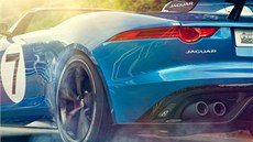 Jaguar Project 7