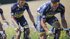 Formace Saxo-Tinkoff v asovce drustev. Pojede u pítí rok na Tour de France tým Tinkoff-Saxo?