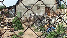 vlasatice novorozenci vlasatice novorozenci