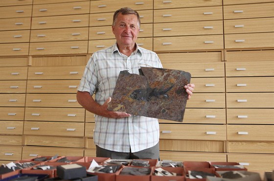 Hradecký paleontolog Stanislav tamberg se specializuje na ryby z období...
