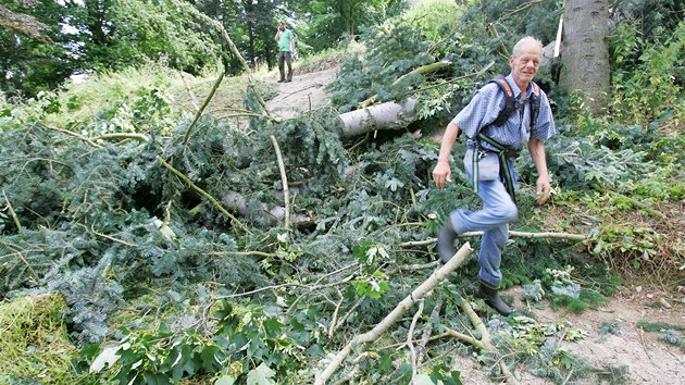 Nkolik vzcnch vzrostlch strom pokodil v noci na pondl siln vtr v arelu botanick zahrady v Beov nad Teplou. 
