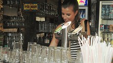 V restauraci si většinou vystačí ve dvou. Kuchař a barmanka s servírka v jedné... V restauraci si většinou vystačí ve dvou. Kuchař a barmanka s servírka v jedné...