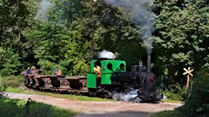Jedna z exhibiních jízd pro milovníky historických vlak (2011)