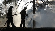 Hasii likvidovali poár lesa v tko pístupném terénu u Humpolce