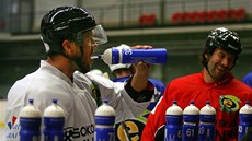 RADIM BIÁNEK. Obránce se zkuenostmi z NHL patil v uplynulé sezon k oporám defenzivy karlovarské Energie.