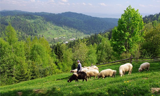 Gorce nad vesnicí Zarebek