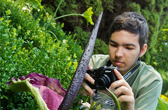 Návtvníci Jiráskových sad v Hradci Králové si fotografují zapáchající