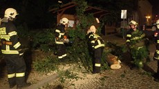 V Zastávce spadl strom na autobus, hasii museli povolat jeáb.