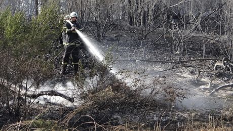 Hasi likviduje tyicetihektarový poár lesa a pole u Fulneku na Novojiínsku.