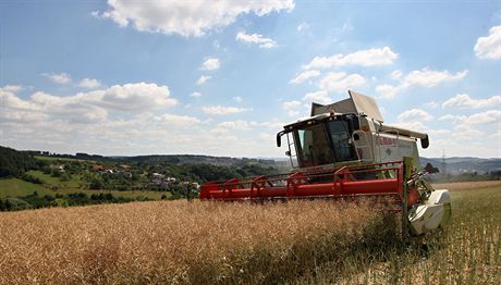 V esku mou zmny klimatu nepízniv ovlivnit produkci obilí a zásoby vod - po stránkách mnoství i kvality. Ilustraní snímek