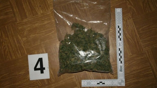 Kriminalistm se podailo odhalit dv pstrny marihuany vrodinnch domech vRohatci.