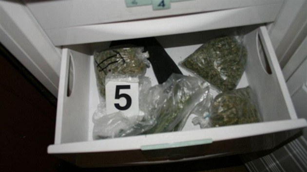 Kriminalistm se podailo odhalit dv pstrny marihuany vrodinnch domech vRohatci.