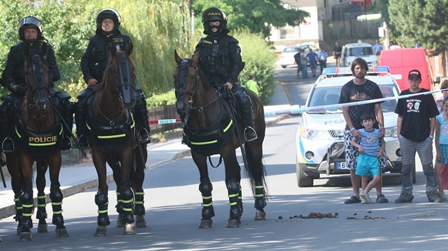 U ANI KROK. ... kter skonila v okamiku, kdy se prvod piblil parku s romskm happeningem. V cest stli i policist na konch.