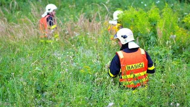 Hasii prohledvali vysokou trvu v okol nehody. idie nenali.