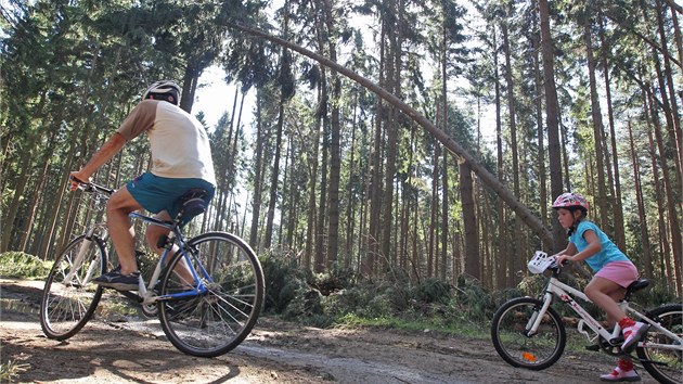 Cestou lesem plnm polom se d narazit i na cyklisty, nkte o dnm zkazu ani nevd. 