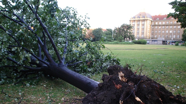 Stromy padaly pod silou vtru i na Vtznm nmst v Praze 6.