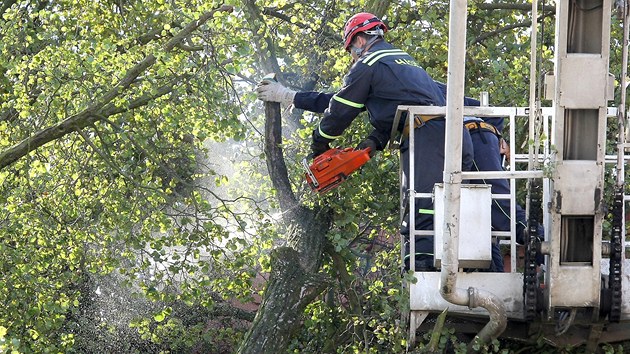 Kostel Nanebevzet Panny Marie v Plan u Hromnic na Plzesku pokodila lpa, kterou pi non bouce vyvrtil siln vtr. 