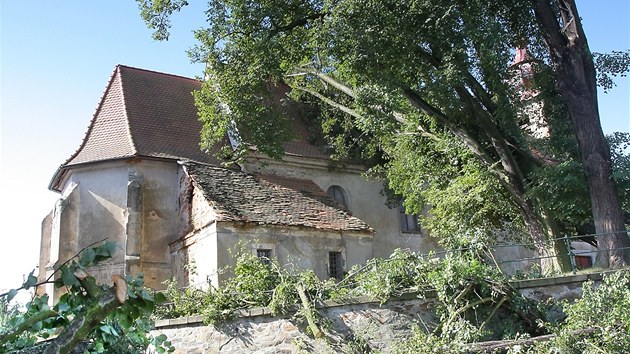 Kostel Nanebevzet Panny Marie v Plan u Hromnic na Plzesku pokodila lpa, kterou pi non bouce vyvrtil siln vtr. 