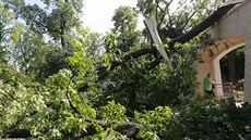 Boue srazila k zemi napíklad stromy v parku Hládkov na Praze 6