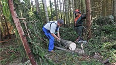 Cestou do jihlavské chatařské oblasti můžete narazit na těžkou techniku a lesní... Cestou do jihlavské chatařské oblasti můžete narazit na těžkou techniku a lesní...