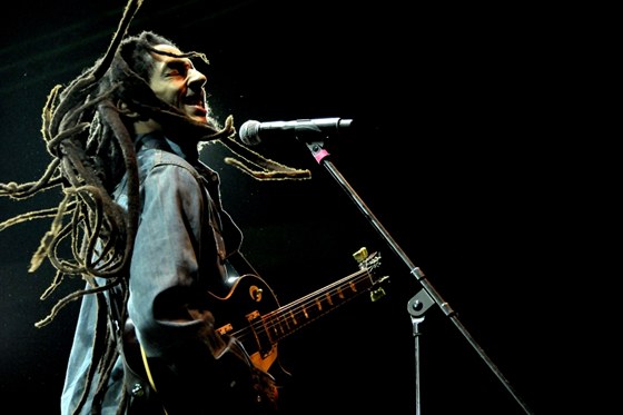 Open Air Music Festival Trutnov 2013 (Julian Marley)