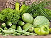 Mln kvaen v zelenin zachov cenn enzymy i vitamny.