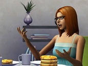 The Sims 4 The Sims 4