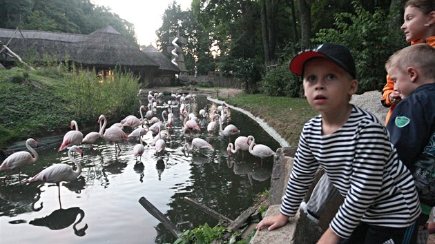 Pi Letn noci v zoo netradin provdli kapitni, z nvtvnk se toti stali nmonci.