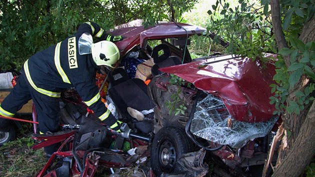 Pi vn dopravn nehod u Holubic se zranilo pt lid.