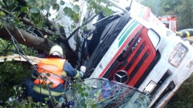 Kamion naloen potravinami skonil na Bruntlsku ve strom. (10. srpna 2013)