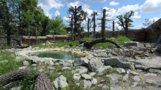 Medvědi dostali v zoologické zahradě v Hluboké nad Vltavou nový výběh. Medvědi dostali v zoologické zahradě v Hluboké nad Vltavou nový výběh.