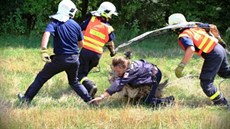 Odchyt ptrosa u Petvaldu. Hasii nahánjí ptáka s volejbalovou sítí. (11....