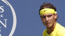 Rafael Nadal ve finále turnaje v Cincinnati.