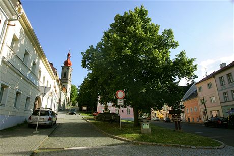 Lidé bojují s radnicí o beovskou lípu. Nechtjí, aby el strom k zemi.