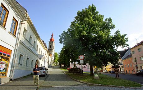 Lidé bojují s radnicí o beovskou lípu. Nechtjí, aby el strom k zemi.