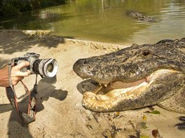 Mladý fotograf z Floridy si z noního fotografování aligátor odnesl dleitou...