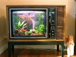 Amerian Michael Khor vzal starý model televize a vyrobil z nj akvárium....