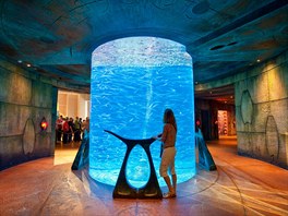 Luxusní hotel Atlantis stojí na umlém ostrov ve tvaru palmy v Dubaji ve...