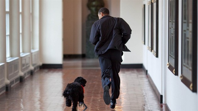 Barack Obama se svm psem v Blm dom