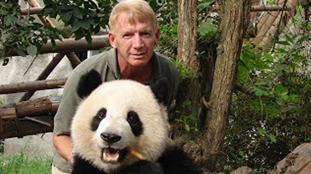 Amerian William Passman v nskm cheng-tu v parku, kter se specializuje na chov pand.