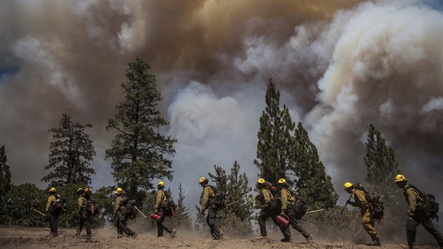 Hasii bojuj s rozshlm porem lesa pobl Yosemitskho nrodnho parku v Kalifornii (23. srpna 2013).