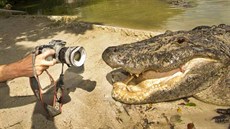 Mladý fotograf z Floridy si z nočního fotografování aligátorů odnesl důležitou... Mladý fotograf z Floridy si z nočního fotografování aligátorů odnesl důležitou...
