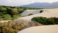 Písené duny, Punta Paloma, poblí Tarify