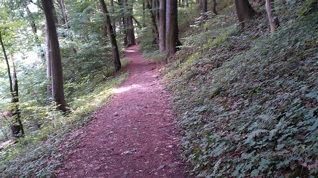 Zvr trati vede po asfaltu, jinak si uijete pjemn lesn cesty.